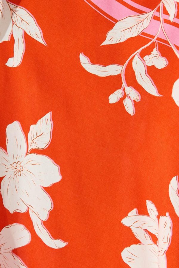 Newbeha.shopb6d20d051b 2